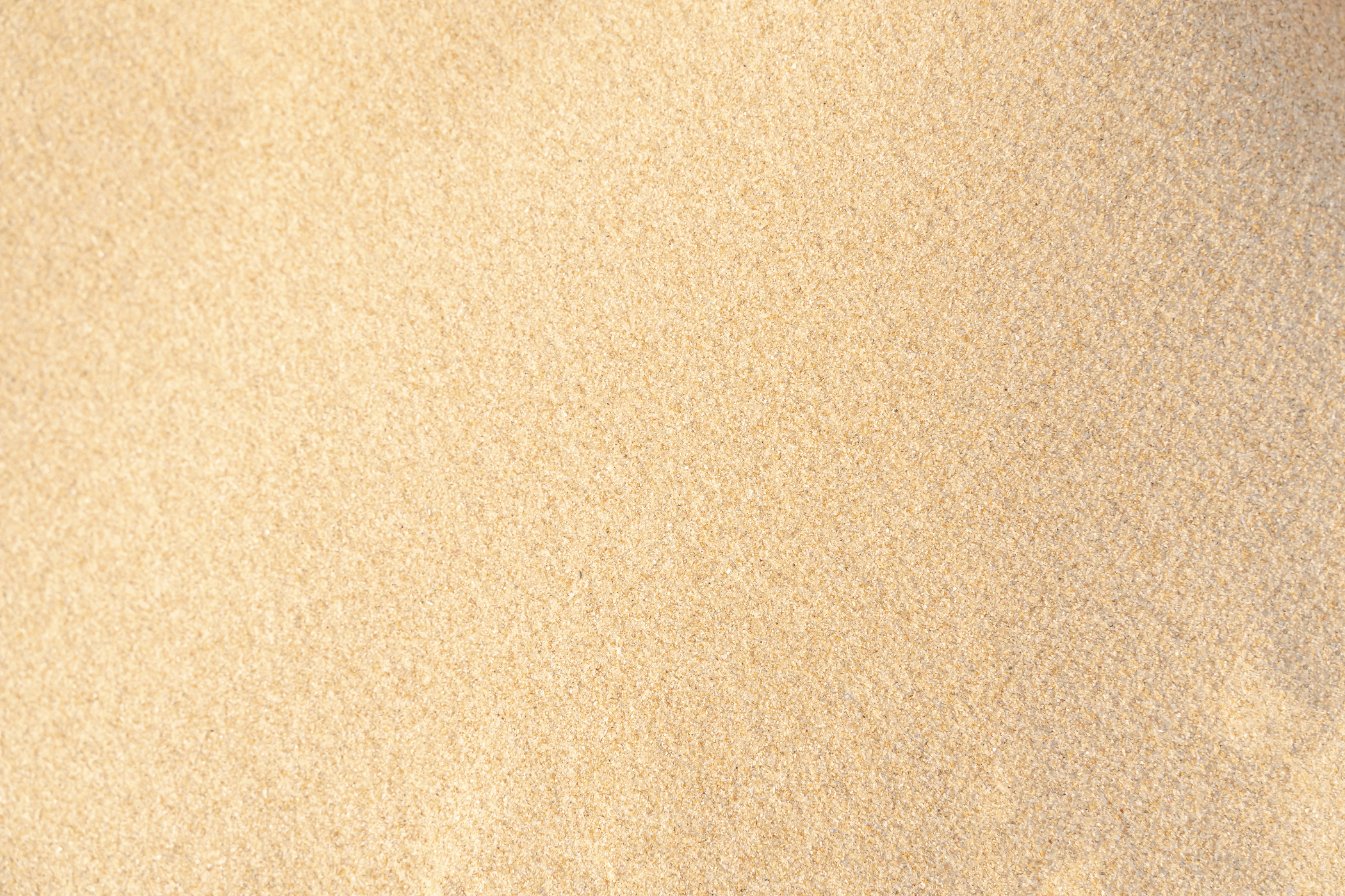 Sand Texture Background on the Beach