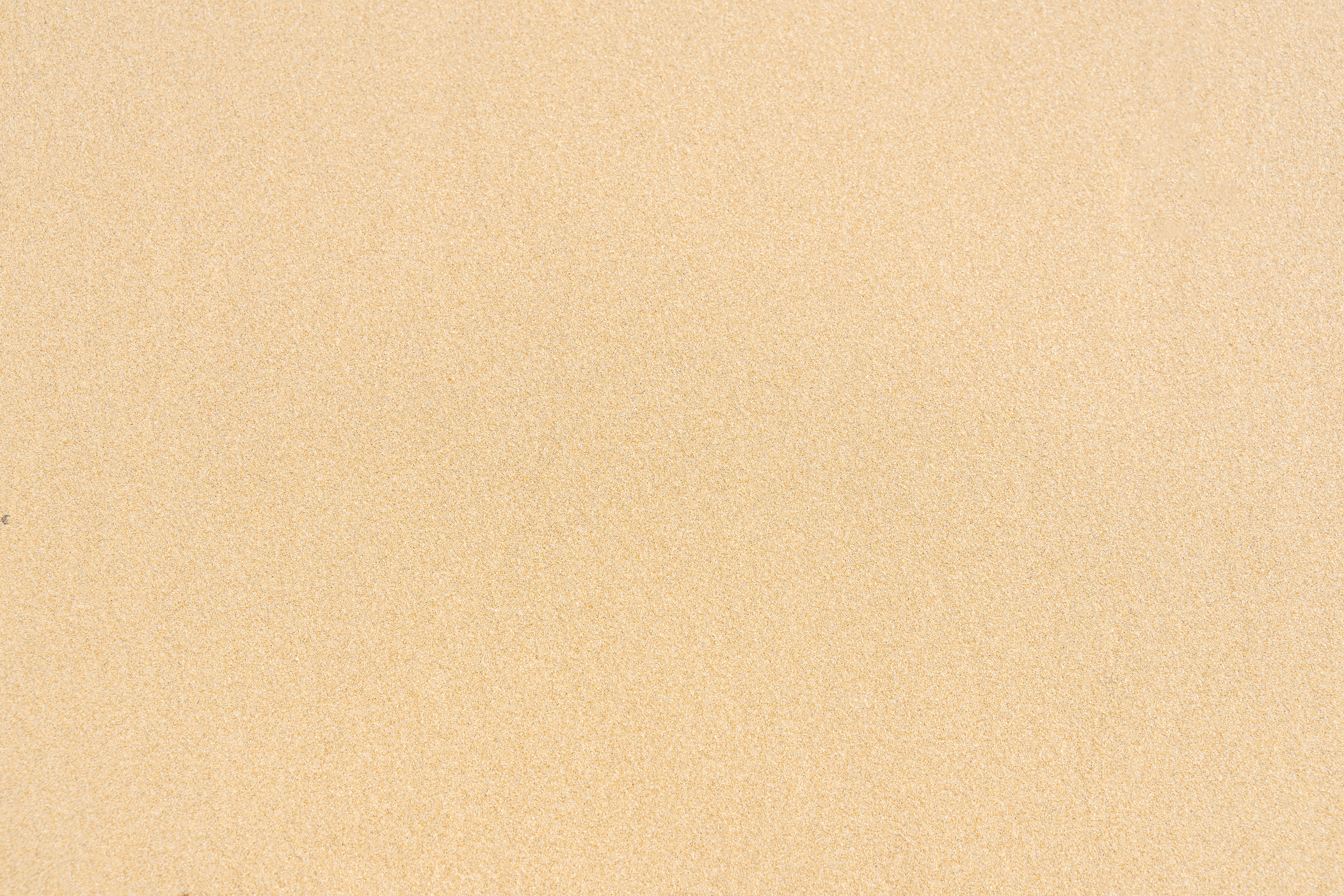 Sand Texture Background on the Beach